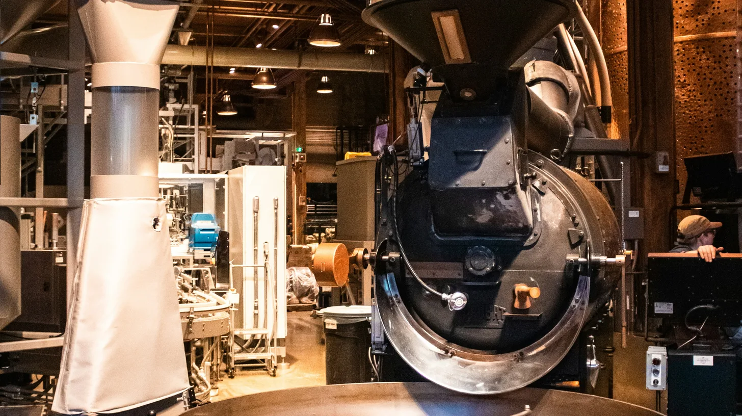 Coffee beans rotating in a roasting machine